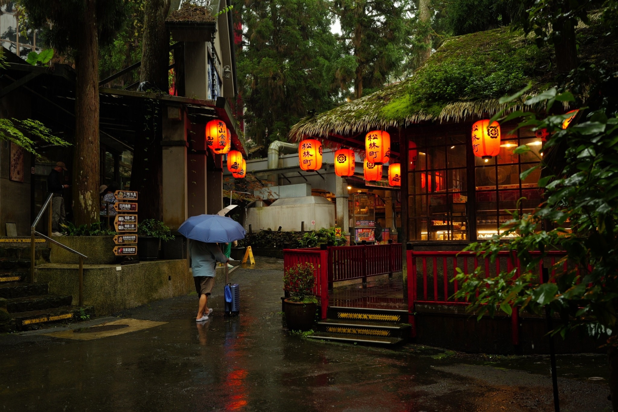 溪頭二日遊_240626_5